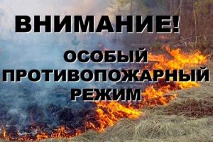 На территории Первомайского района введен особый противопожарный режим.